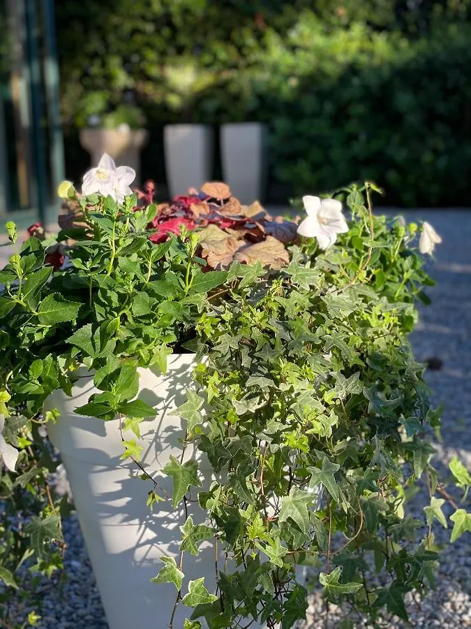 Hotel B&B Des Bains Milano Marittima