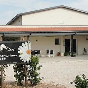 clori.it-tuscanyhotel.com/